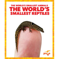 The World's Smallest Reptiles