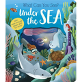 What Can You See? Under the Sea