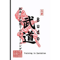 Budo: Training in Isolation