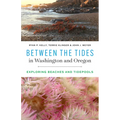 Between the Tides in Washington and Oregon: Exploring Beaches and Tidepools