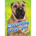 Chinese Shar-Pei