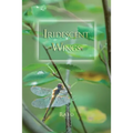 Iridescent Wings