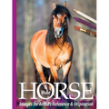 Horse and Mule Images for Artist's Reference and Inspiration