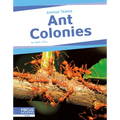 Ant Colonies