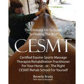 The Ultimate Go-To Guide To Finding The Best CESMT: Certified Equine Sports Massage Therapist/Rehabilitation Practitioner For Your Horse Or The Right
