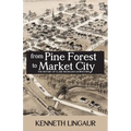 From Pine Forest to Market City: The History of Clare Michigan's Downtown