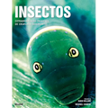 Insectos