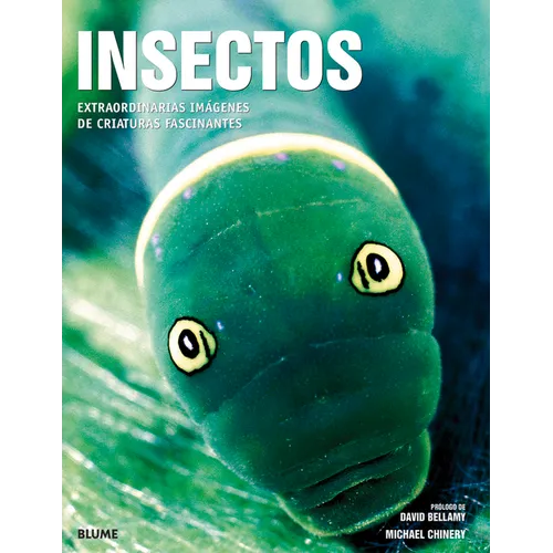 Insectos
