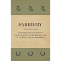 Farriery - Some Questions and Answers on the Anatomy of the Foot and Leg of the Horse, and on Shoemaking