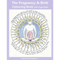 The Pregnancy & Birth Colouring Book with Yoga Nidra: Preparing for Birth through Mindfulness and Relaxation