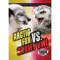 Arctic Fox vs. Snowy Owl