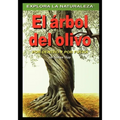 El arbol del olivo