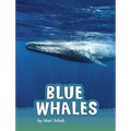Blue Whales