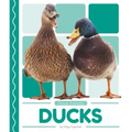 Ducks