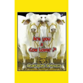 Are you a Cow Lover?