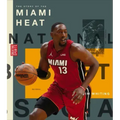 The Story of the Miami Heat
