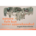 Nature Felt But Never Apprehended