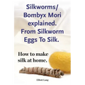 Silkworms Bombyx Mori explained. From Silkworm Eggs To Silk. How to make silk at home.