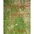 Real Irish Fairies of Donegal: Just Because You Don't Believe In Fairies Doesn't Mean They Don't Exist