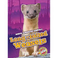 Long-Tailed Weasels