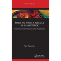 How to Find a Needle in a Haystack: From the Insider Threat to Solo Perpetrators