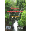 The Mangroves & The Manglicolous Marine Fungi