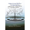 American River: Tributaries: Book One of the American River Trilogy