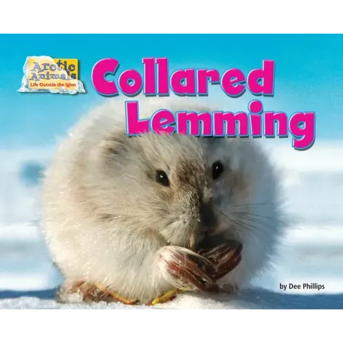 Collared Lemming