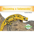 Becoming a Salamander