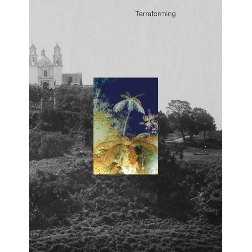 Terraforming: Olana's Historic Photography Collection Unearthed