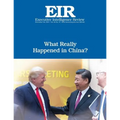 What Really Happened in China?: Executive Intelligence Review; Volume 44, Issue 47