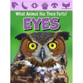 Eyes