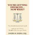 You're Getting Divorced...Now What?: The Ultimate Divorce Court Guide