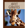 About Giraffes