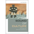 The Sound of Culture: Diaspora and Black Technopoetics