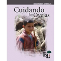 Cuidando las Ovejas: Escuela de Liderazgo: Especialidad Ministerio Juvenil