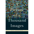A Picture of a Thousand Images