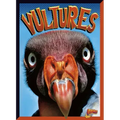 Vultures