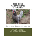 The Blue Andalusian Chicken: Chicken Breeds Book 36