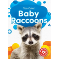 Baby Raccoons