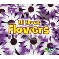 All about Flowers