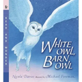 White Owl, Barn Owl: Read and Wonder