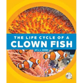 The Life Cycle of a Clown Fish