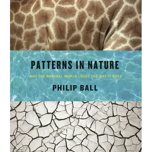 Patterns in Nature: Why the Natural World Looks the Way It Does