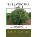 The Jatropha Plant