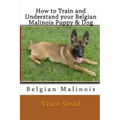 How to Train and Understand Your Belgian Malinois Puppy & Dog