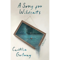 A Song for Wildcats: Stories