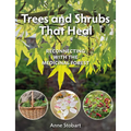 Trees and Shrubs That Heal: Reconnecting with the Medicinal Forest