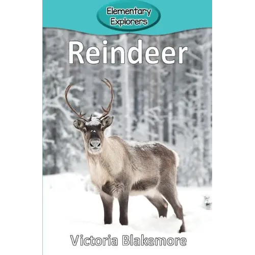 Reindeer