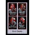 Emily Shadowhunter - All 4 books: A Vampire, werewolf, shapeshifter novel.